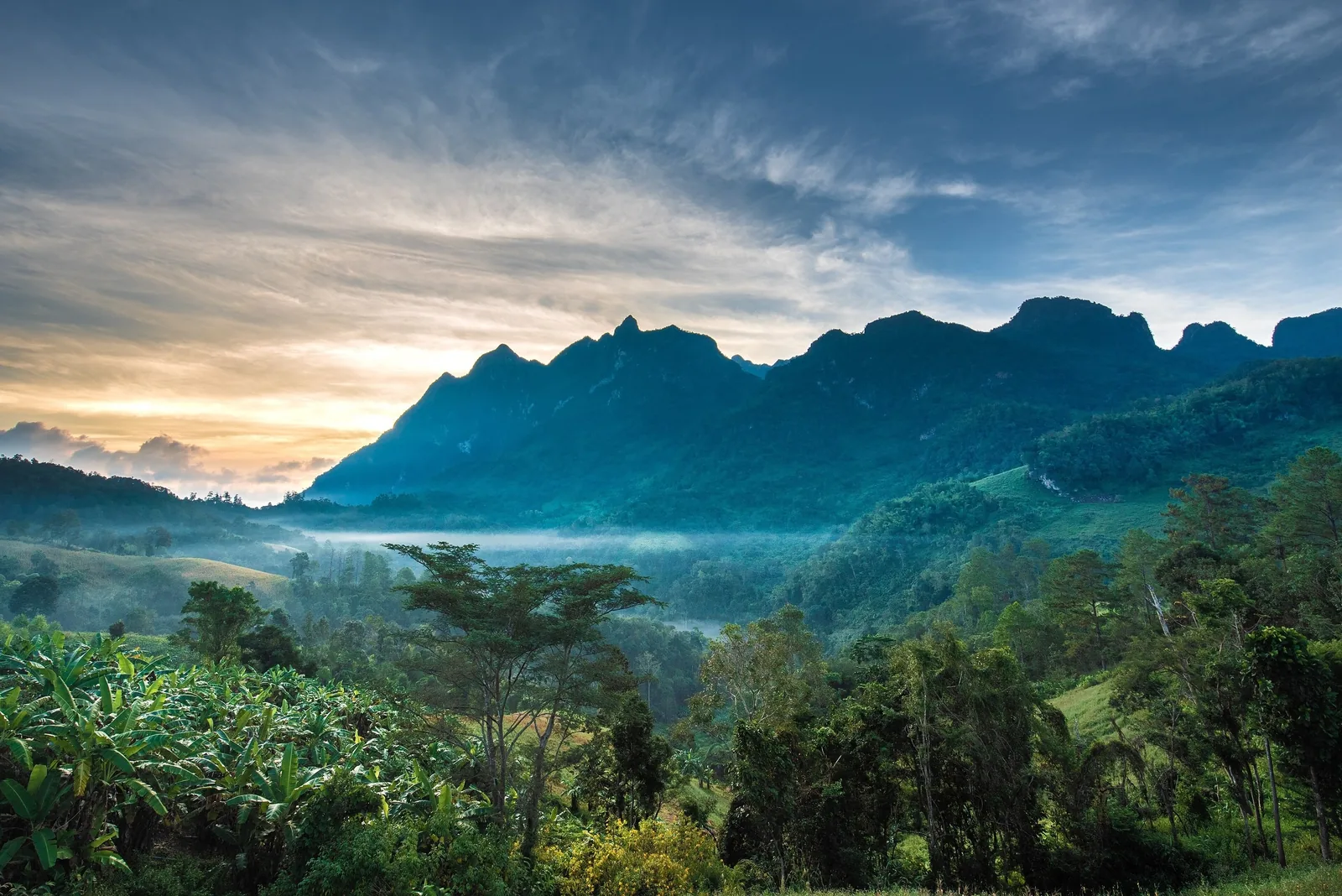 Mist rises over a lush valley beneath jagged mountain peaks at sunrise near Chiang Mai.