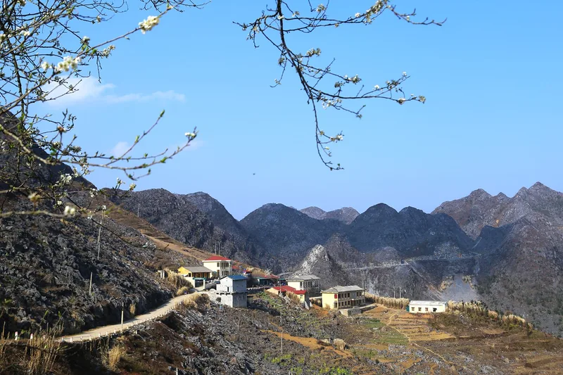 Blossoming branches frame a mountain village on the rocky plateau of Dong Van, Ha Giang. Blossoming branches frame a mountain village on the rocky plateau of Dong Van, Ha Giang.