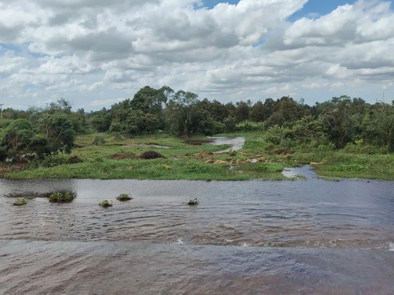 Muddy river waters flow over a low weir near green wetlands and trees at Brateak Krola Lake in Kampot province.