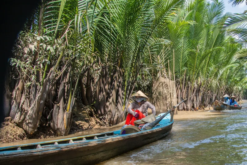 A woman in a conical hat paddles a small wooden boat along a narrow canal lined with nipa palms in the Mekong Delta. A woman in a conical hat paddles a small wooden boat along a narrow canal lined with nipa palms in the Mekong Delta.