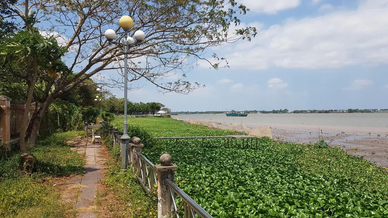 A riverside walkway lined with a stone railing overlooks water hyacinths floating on the Mekong River in Can Tho. A riverside walkway lined with a stone railing overlooks water hyacinths floating on the Mekong River in Can Tho.
